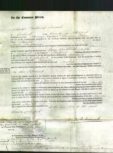 Court of Common Pleas - Amelia Scudamore-Original Ancestry