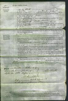 Court of Common Pleas - Marianne Mangles-Original Ancestry