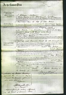 Court of Common Pleas - Jane Milnes-Original Ancestry