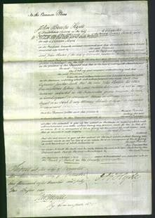 Court of Common Pleas - Frances Moore-Original Ancestry