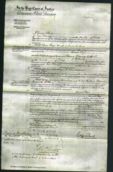 Court of Common Pleas - Eliza Kirkum-Original Ancestry