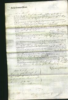 Court of Common Pleas - Henrietta Elizabeth Philipps-Original Ancestry