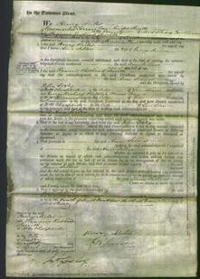 Court of Common Pleas - Anne Sellers Julier-Original Ancestry