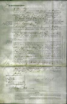 Court of Common Pleas - Mary Ann Davis, Elizabeth Catherine Biggs and Ann Fletcher-Original Ancestry