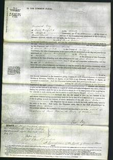 Court of Common Pleas - Ann Osborn-Original Ancestry