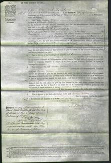 Court of Common Pleas - Louisa Wilson-Original Ancestry