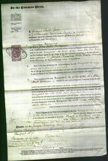 Court of Common Pleas - Margaret Robinson-Original Ancestry