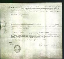 Appointment of Special Commissioners - Thomas John Blondell Falla and John Marquand-Original Ancestry