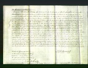 Court of Common Pleas - Mary Ann Blayes-Original Ancestry
