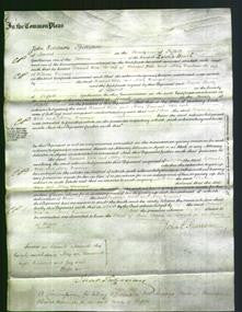 Court of Common Pleas - Hannah Wade and Mary Dennant-Original Ancestry