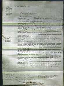 Court of Common Pleas - Ann Player-Original Ancestry