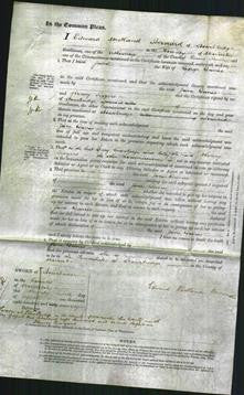 Court of Common Pleas - Jane Davies-Original Ancestry
