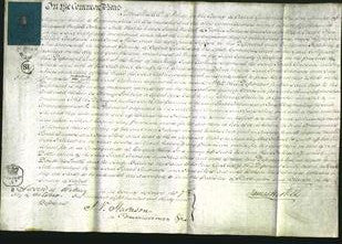 Court of Common Pleas - Sarah Andrews and Jane Akers-Original Ancestry