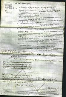 Court of Common Pleas - Mary Jones-Original Ancestry