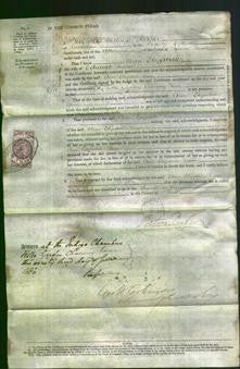 Court of Common Pleas - Ann Elizabeth Lewin-Original Ancestry