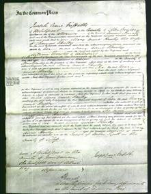 Court of Common Pleas - Mary Anne Henley-Original Ancestry