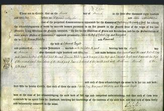 Deed by Married Women - Sophia Day, Margaret Whiteley and Hannah Ingle-Original Ancestry
