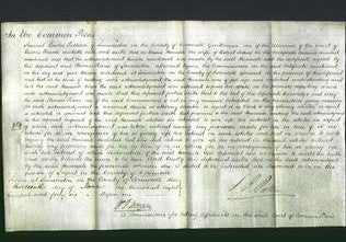 Court of Common Pleas - Hannah Johns-Original Ancestry