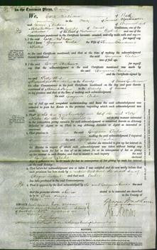 Court of Common Pleas - Georgiana Cecelia Moutrie-Original Ancestry