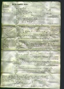Court of Common Pleas - Sarah Ann Bright-Original Ancestry