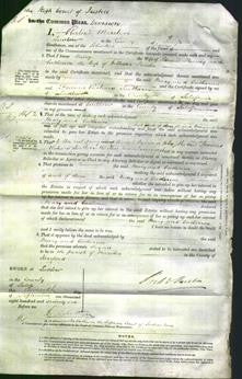 Court of Common Pleas - Mary Phaisey and Catherine Presdee-Original Ancestry