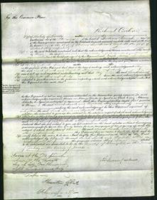 Court of Common Pleas - Sarah Levick and Elizabeth Story-Original Ancestry