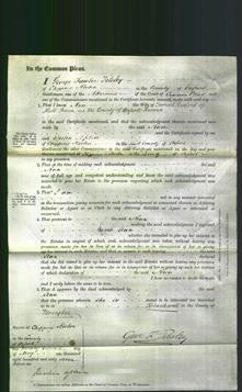 Court of Common Pleas - Ann Radford-Original Ancestry