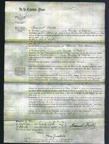 Court of Common Pleas - Sarah Whetton-Original Ancestry