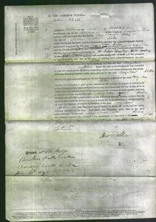 Court of Common Pleas - Mary Ann Stokes-Original Ancestry