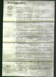 Court of Common Pleas - Hester Selwyn-Original Ancestry