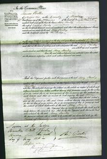 Court of Common Pleas- Frances Ann Bacon-Original Ancestry