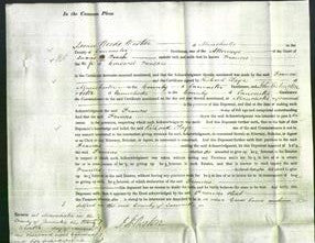 Court of Common Pleas - Frances Foulkes-Original Ancestry