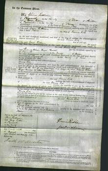 Court of Common Pleas - Maria Rich-Original Ancestry