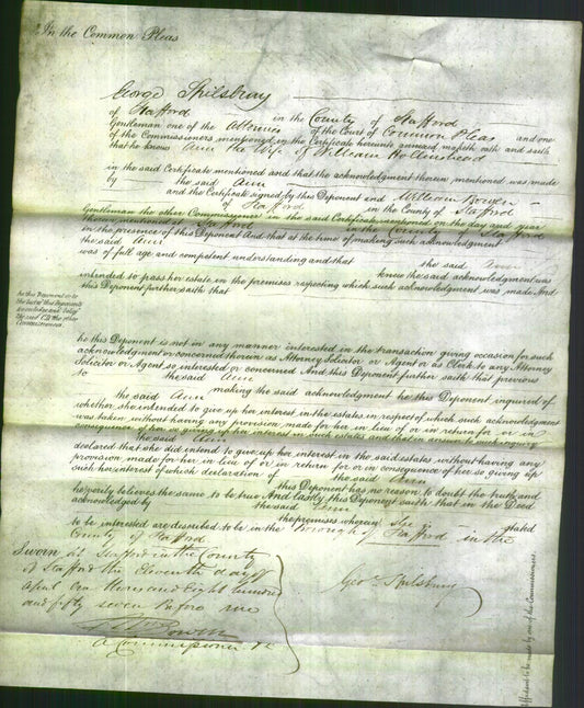 Court of Common Pleas - Ann Hollinshead