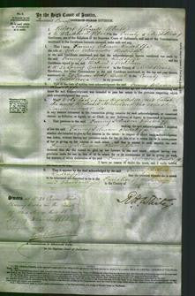 Court of Common Pleas - Fanny Johnson Radcliffe-Original Ancestry