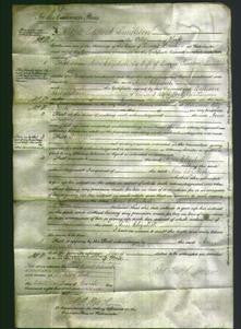 Court of Common Pleas - Ann Elizabeth Pearson-Original Ancestry