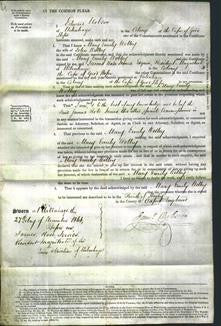 Court of Common Pleas - Mary Emily Dolley-Original Ancestry