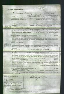 Court of Common Pleas - Rebecca Matthews-Original Ancestry