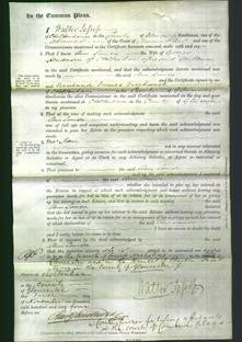 Court of Common Pleas - Ann Louisa Henderson-Original Ancestry