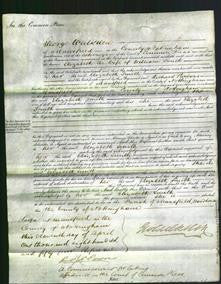 Court of Common Pleas - Elizabeth Smith-Original Ancestry