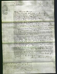 Court of Common Pleas - Mary Elizabeth Ann Philipps-Original Ancestry