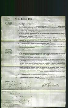 Court of Common Pleas - Maria Hampton-Original Ancestry