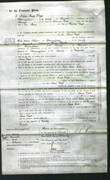Court of Common Pleas - Jane West-Original Ancestry