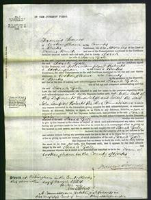 Court of Common Pleas - Sarah Gale-Original Ancestry