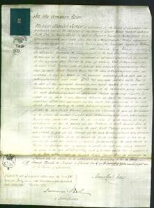 Court of Common Pleas - Sarah Barnes-Original Ancestry