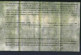 Deed by Married Women - Mary Wilson-Original Ancestry