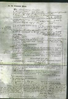 Court of Common Pleas - Sarah Hill and Mary Bond-Original Ancestry