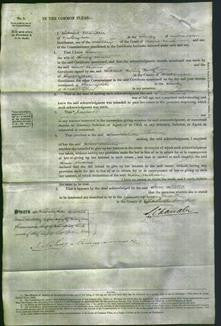 Court of Common Pleas - Ann Stevens-Original Ancestry