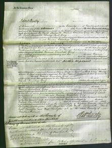 Court of Common Pleas - Right Honorable Maria Countess Grey-Original Ancestry