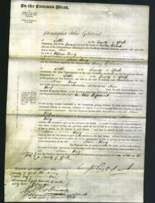 Court of Common Pleas - Ann King-Original Ancestry